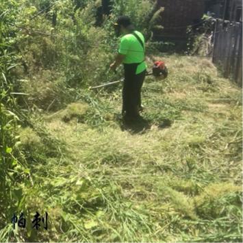 帕剌企業社 - 除草