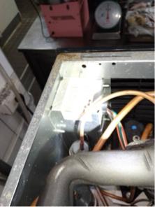 象勤環境消毒工作室 -  蟑螂防治