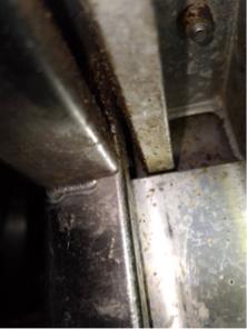 象勤環境消毒工作室 - 蟑螂防治