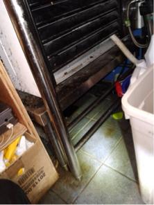 象勤環境消毒工作室 -  蟑螂防治