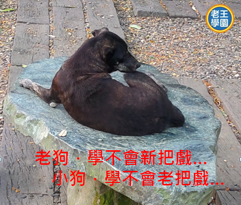 老王學園 - 心情故事&rarr;智慧 vs 技能！