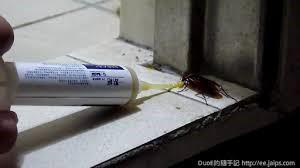 嘉澤滅鼠封堵防治工程 -  嘉澤滅鼠封堵防治工程 -