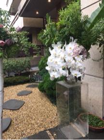 Square 文創花藝咖啡. - 