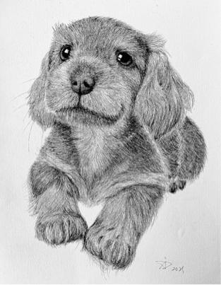 關於藝術與設計｜about art & design - 藝術創作