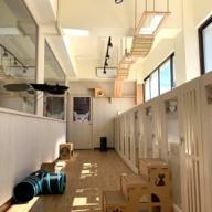 都在貓咪旅館 - 