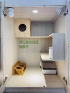 都在貓咪旅館 - 