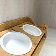 都在貓咪旅館 - 