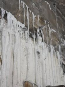 盛威防水國際有限公司 - 