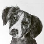 游若妍 - 素描 游若妍 - 素描