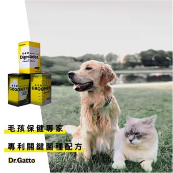 DOMO-DOMO - FB | IG圖片製作