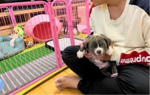 熊子兵國際貿易有限公司 - 