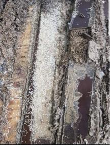 富森環保服務有限公司 - 