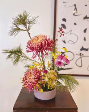VVV FLOWERS - 農曆年盆花