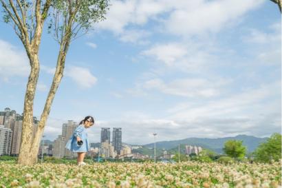 Hong攝影 -   Hong攝影 -