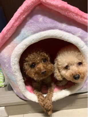 淡水溫暖的家 - 第二個屋??