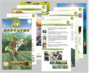 LinLuo - 大圖壁掛