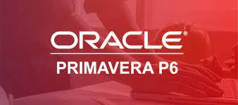 提供113年日曆服務的專家Mr.P6