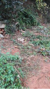 汰順園藝 - 除草整地