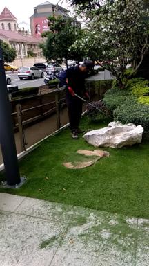 尚青園藝企業社 - 