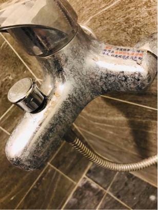 金翅鳥專業居家清潔 - 