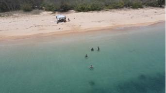 專業游泳及體能教練 - 帶學員邊玩邊練習海邊游泳