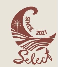 黃容 -  新創品牌-Logo設計