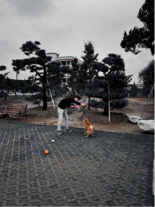 正向寵物行為訓犬師 米恩 - #米恩老師到你家
家裡的狗狗?有行為上的問題嗎？

毛孩們跟我們人一樣都是需要有舒服空間跟自在的生活

打罵或是任何會造成狗狗恐懼的處罰方式，或許能短暫的看到糾正效果，但是長期下來會造成狗狗跟毛爸毛媽的關係緊張，甚至造成狗狗的壓力。

常見的狗狗行為問題通常有很多原因，關聯性由高到低分別是：飼主的行為、環境、疾病，也就是說如果你的毛寶貝的行為走鐘讓你非常困擾，很有可能問題出在你身上喔！！！

必須先了解狗狗的行為，以及行為背後的意義，再找出解決的方法，才能夠確實解決問題！

#狗狗正向訓練 #行為矯正 #