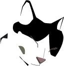 提供adobe股價服務的專家游承恩