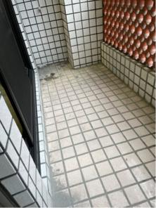 樂湘國際有限公司 - 清潔前