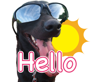 jujnyo - 照片貼圖