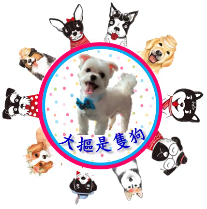 呂小姐 - 製作圓形貼紙