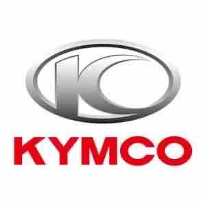 提供機車美容店服務的專家大輝車業有限公司