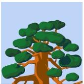 提供103服務的專家樹老師