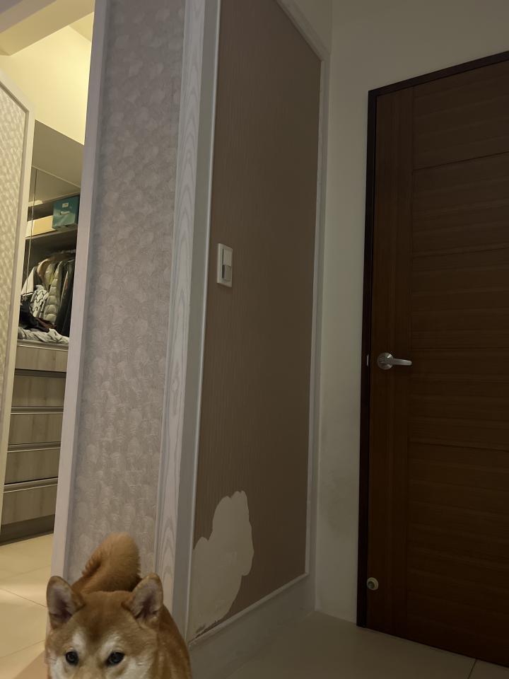 壁紙施工案件圖片