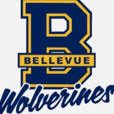 提供翻译i服務的專家Thomas Tong