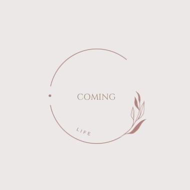 陳甯 - 網路電商logo設計