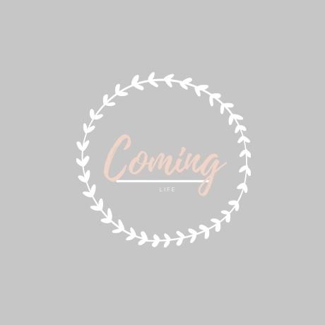 陳甯 - 網路電商logo設計