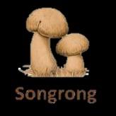 提供兼差服務的專家陳品松