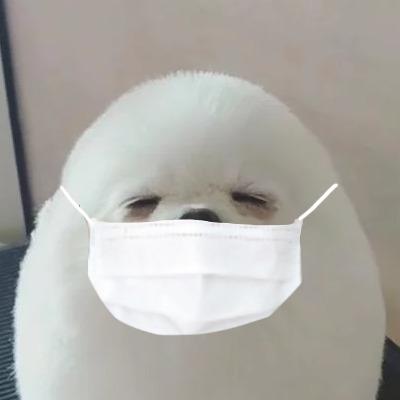 新竹市東區貼圖製作專家推薦呂娜