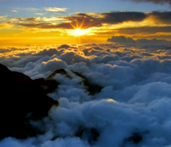 sophive - 光影山林是新聞局的紀錄片,拍攝時間很長,跟隨山的變化腳步在移動,想捕捉她每一刻的風采。因此不知不覺就拍了近兩年,然後因為畫質太高,所以又出國製作。得獎真的是應該的。 sophive - 光影山林是新聞局的紀錄片,拍攝時間很長,跟隨山的變化腳步在移動,想捕捉她每一刻的風采。因此不知不覺就拍了近兩年,然後因為畫質太高,所以又出國製作。得獎真的是應該的。