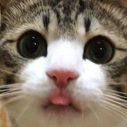 提供潤稿服務的專家Tommy