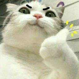 范坤揚 - ㄍㄢㄒ