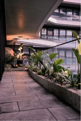 镹花園藝設計工作室 -  镹花園藝設計工作室 -