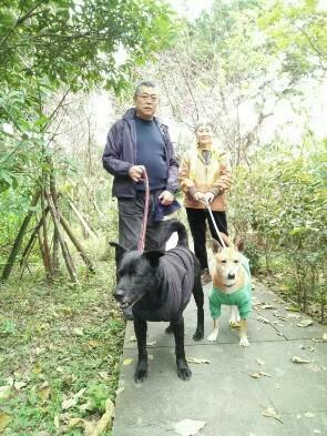 翁淑華 - 兩寶一起蹓,穿綠褲的小乖特貪吃的無底洞