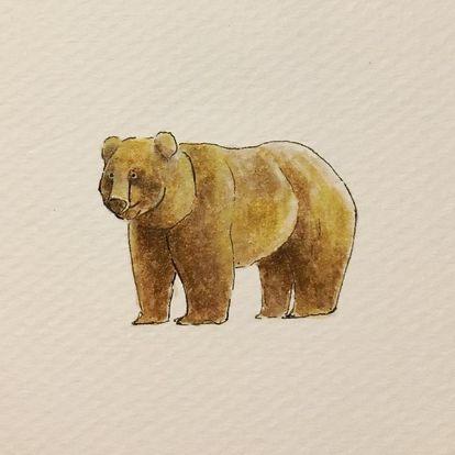 zeit_pi -  zeit_pi -