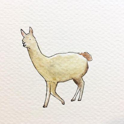 zeit_pi -  zeit_pi -