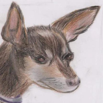 提供pr 360服務的專家CHIA-HSIANG TAI