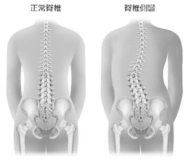 鈦自在全方位骨架平衡養護中心 - 安全的 美式骨架平衡調理
