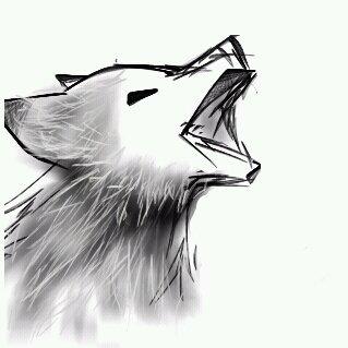 提供pttiphone版服務的專家卓宥辰