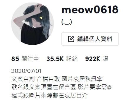 許甄洹 - TikTok文案帳號經營